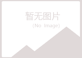 宝山区冰夏咨询有限公司